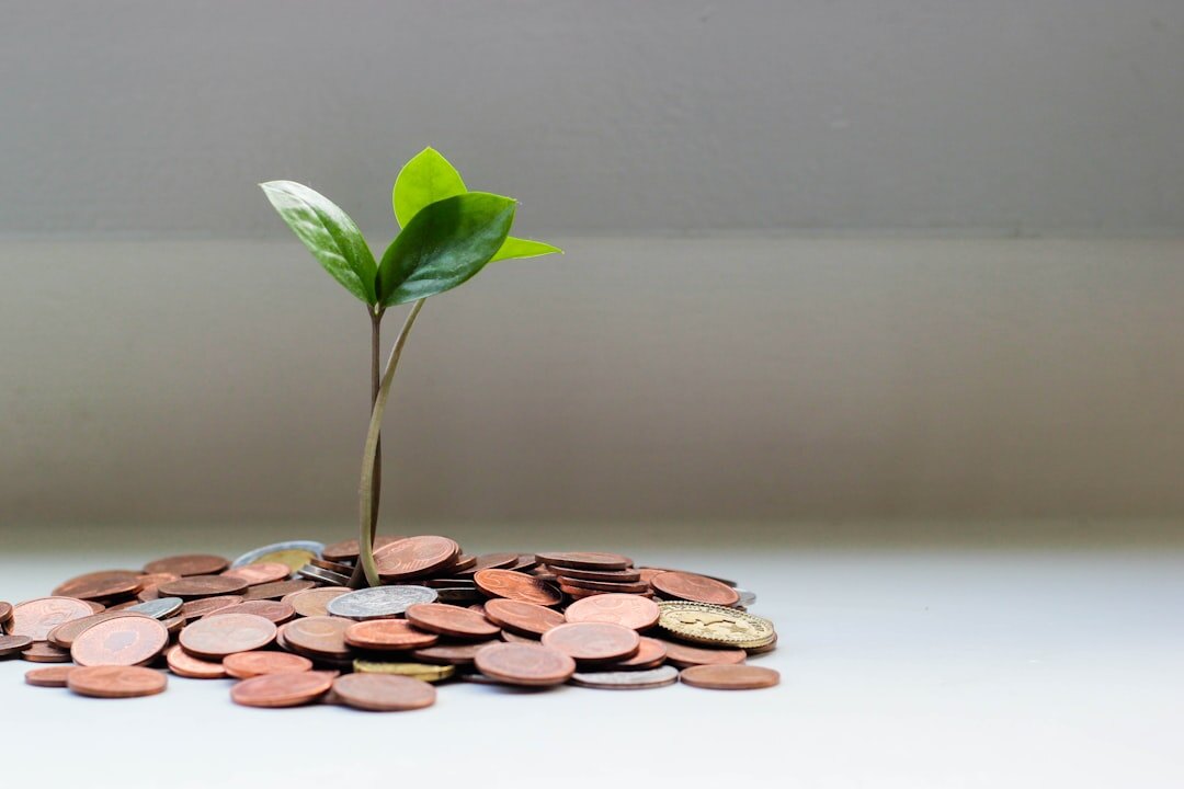 sustainable corporate finance